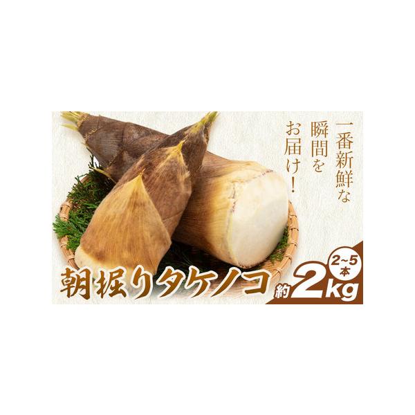 ■ 容量　約2kg(2-5本)■ 配送について　2026年4月上旬-4月下旬頃出荷　タイプ：【冷蔵】