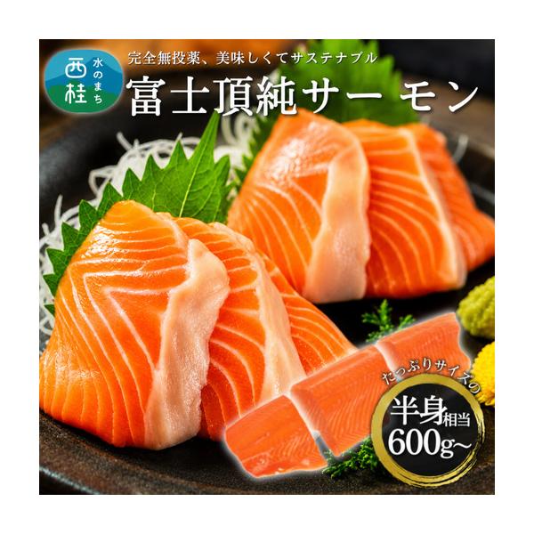 ふるさと納税 富士頂純サーモン 刺し身セット 半身分3分割 600g以上 富士山麓のきれいな天然水で養殖された安心安全な国産サーモン 刺身 小分け .. 山梨県西桂町