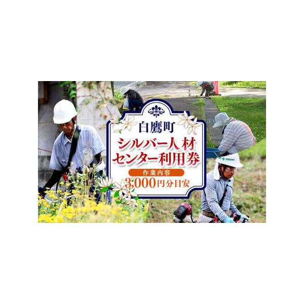 ■ 容量　シルバー人材センター利用券×1枚　※(作業内容3,000円分目安)■ 配送について　寄附確認後、30営業日以内に発送予定　年末年始(12月・1月)は寄附確認後、60営業日以内に発送予定　※天候や発送状況により多少前後する場合がござ...