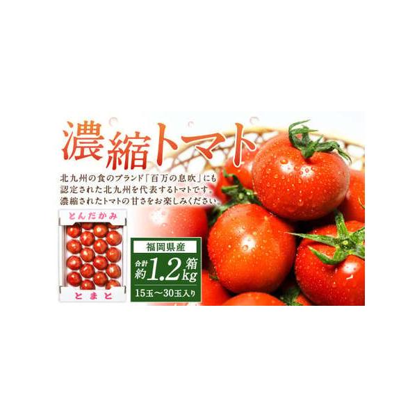 ■ 容量　1.2kg箱(15玉〜30玉入り)■ 配送について　2026年3月上旬〜6月下旬発送予定　タイプ：【冷蔵】