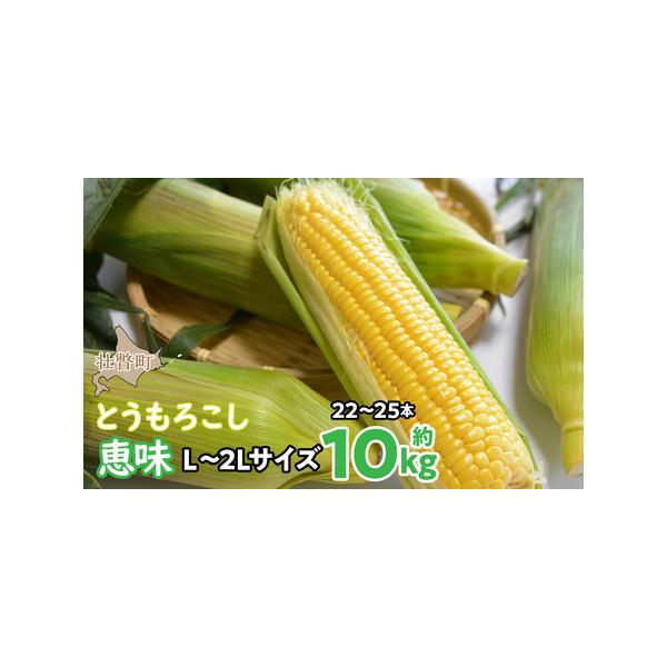 ■ 容量　とうもろこし（恵味）L〜2Lサイズ　合計22〜25本　約10kg■ 配送について　2026年8月初旬〜8月末まで　発送可能時期より順次発送予定　※沖縄、離島への配送はできかねますので、あらかじめご了承願います。　上記のエリアからの...