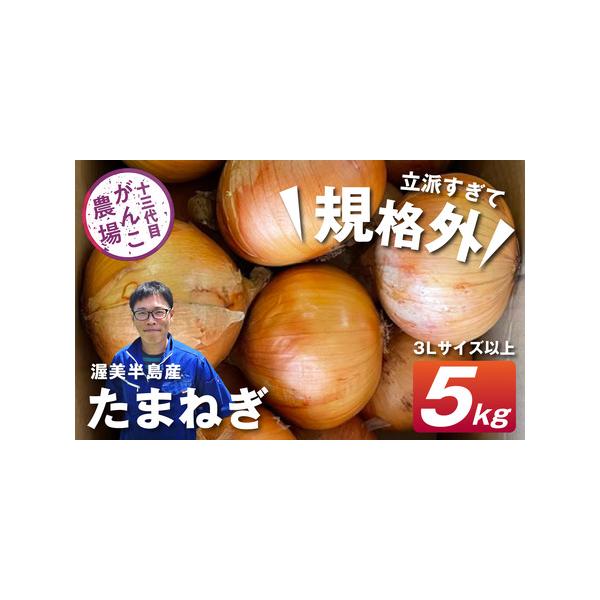 ■ 容量　サイズ弊社お任せ（5ｋｇ/1箱）■ 配送について　旬の時期にお届けします。　6月上旬〜7月下旬　生育状況により遅延する可能性がございます。ご了承ください。　タイプ：【常温】