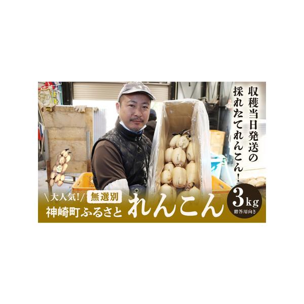 ■ 容量　れんこん　3kg（キロ）■ 配送について　8月1日〜3月31日　タイプ：【冷蔵】