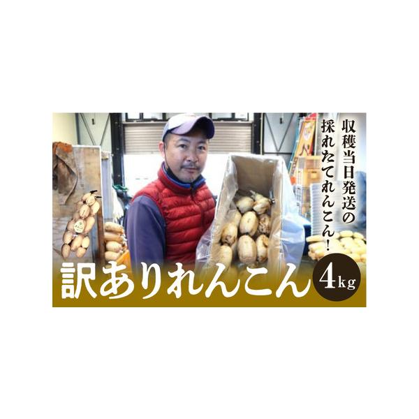 ■ 容量　れんこん　4kg（キロ）■ 配送について　8月1日〜3月31日　タイプ：【冷蔵】