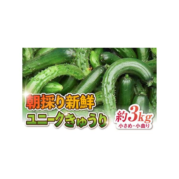 ■ 容量　きゅうり 約3kg　※通常より小さめのきゅうりのお届けとなります。■ 配送について　ご入金確認後1ヶ月以内に発送いたします。　※賞味期限が大変短いお品であるため、ご不在等で受取不可の日程がございましたら、必ずお申し込み時「備考欄」...