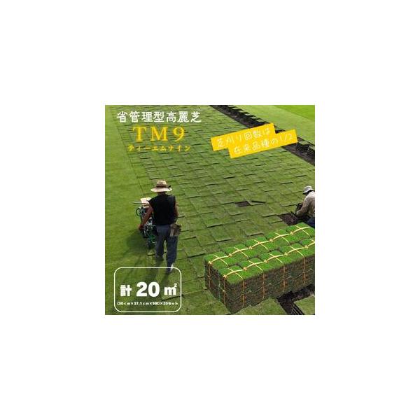 天然芝TM9、20束まで ふるさと納税 芝生(省管理型コウライ芝 TM9ティーエムナイン)20束