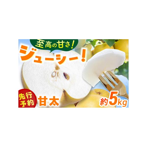 ■ 容量　梨（甘太）5kg(9玉-12玉)×1ケース■ 配送について　2026年9月中旬より順次発送開始　タイプ：【冷蔵】