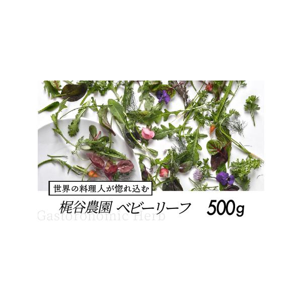 ■ 容量　【容量】　ベビーリーフ　500g　　【賞味期限】　なるべく早くお召し上がりください。　タイプ：【冷蔵】