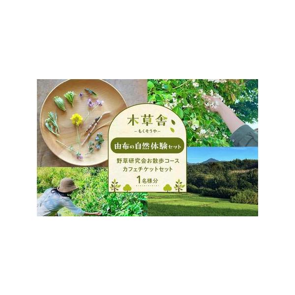 ■ 容量　＜1名様分＞体験チケット　【セット内容】　野草研究会体験チケット＋カフェチケット　【有効期限】　1年間■ 配送について　決済完了後、7日を目途に発送します。　【受付期間】　2024年10月18日〜　タイプ：【常温】