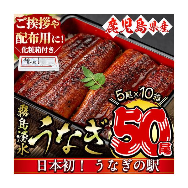 ふるさと納税 【数量限定】【化粧箱10箱】ご挨拶・配布用にも！鹿児島県産 山田水産の霧島湧水鰻＜計50尾(5尾×10箱)/計8kg(1尾あたり16.. 鹿児島県志布志市