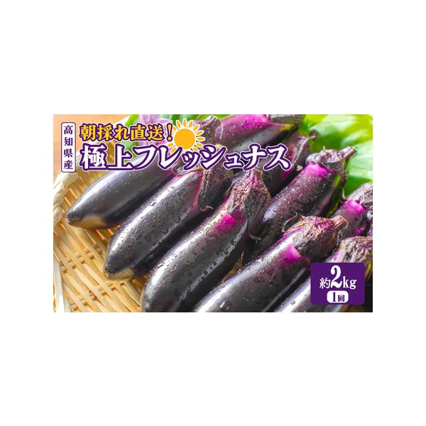 ■ 容量　なす　◯約2kg(約20本)　・1回お届け　　※1本あたり60g?160g。サイズはバラつきがあります。　※梱包時ナスのへたで傷つかないように1段目と2段目の間に半紙を入れています。　※収穫後即梱包のため天敵のタバコカスミカメが混...