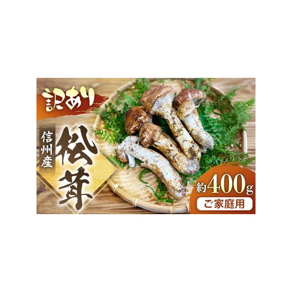 ふるさと納税 G-3　信州産「松茸」400g ご家庭用 訳あり品 長野県豊丘村