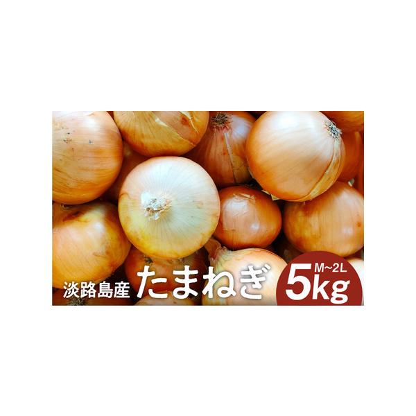 ■ 容量　【容量】5kg（大きさはM〜2Lサイズ混合）　　【賞味期限】商品発送日より14日以内　　【保存方法】冷暗所にて保管してください。湿度が高い場所や直射日光は商品劣化を早めますので、ご注意ください。　タイプ：【常温】