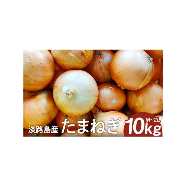 ■ 容量　【容量】10kg（大きさはM〜2Lサイズ混合）　　【賞味期限】商品発送日より14日以内　　【保存方法】冷暗所にて保管してください。湿度が高い場所や直射日光は商品劣化を早めますので、ご注意ください。　タイプ：【常温】