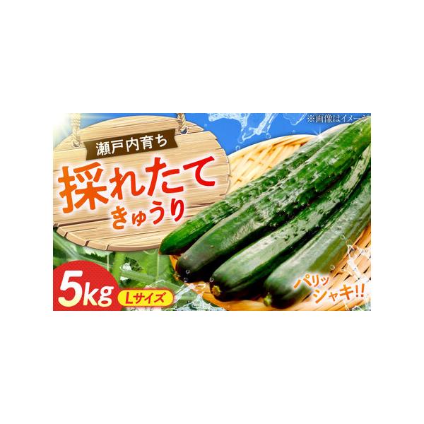 ■ 容量　きゅうり　5kg × 1箱■ 配送について　4月から7月中旬，10月中旬から1月中旬　※発送期間中は寄附確定後、2週間前後　　※7月10日までのご入金：2025年7月中旬まで発送　※7月11日以降のご入金：2025年10月中旬頃よ...