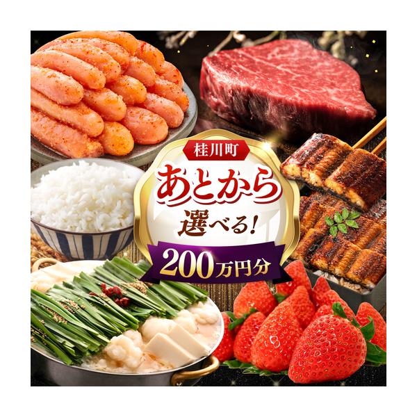 furunavi_1386104