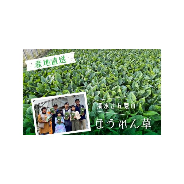 ■ 容量　ほうれん草 180g×2袋■ 配送について　令和8年6月中旬〜10月下旬の間で発送させていただきます。　上記期間内は、収穫でき次第順次発送いたします。　※気候によって発送時期が変動する場合があります。ご了承ください。　タイプ：【冷蔵】