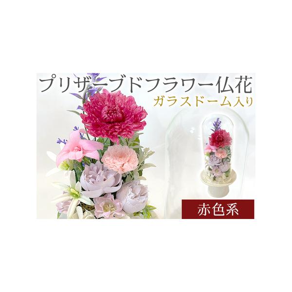 ■ 容量　■サイズ　高さ27cm　幅12cm　■材料　プリザーブドフラワー（菊、デンファレ、紫陽花）　アーティフィシャル（葉っぱ、小花等）　モス、オアシス、陶器（器）、ガラスドーム、ワイヤー、フローラルテープ　■色　・赤色系　※モニターの発...