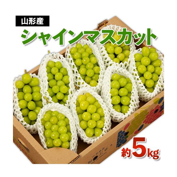 ふるさと納税 山形産 シャインマスカット 秀 約5kg 【令和8年産先行