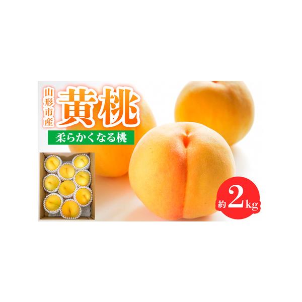■ 容量　【令和8年産】　山形市産黄桃 秀品 2kg(４〜８玉)　柔らかくなる桃(黄金桃・スィート光黄・黄ららの極み・黄貴妃 他)　※品種、玉数おまかせ ■ 配送について　【申込期日】2026年06月30日まで　【発送期間】2026年08月...