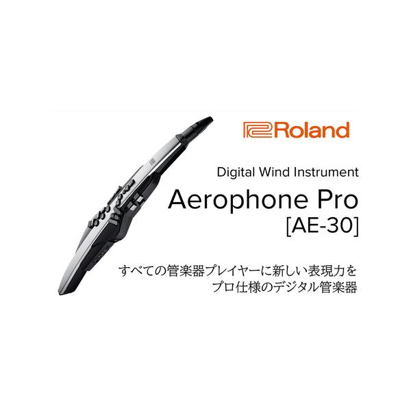 Roland AE-30電子管楽器の魅力を徹底解説