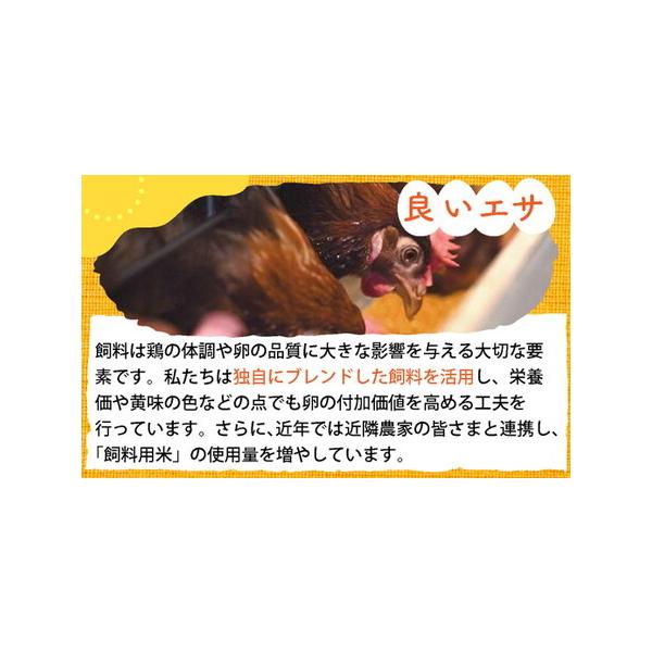 furunavi_1388033_2_d_20260402161809