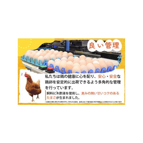 furunavi_1388033_3_d_20260402161810