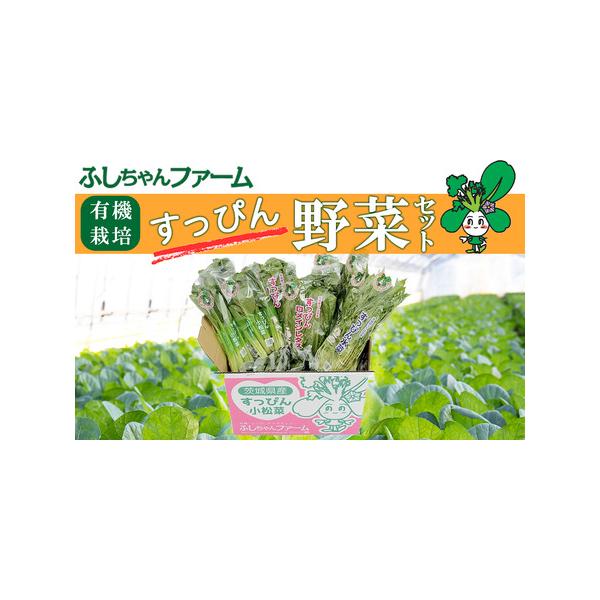 ■ 容量　・有機小松菜(約200g)３袋　・有機水菜 (約200g)３袋　・有機ロメインレタス(1 個、または小ぶりのもの2 個で約150g)３袋■ 配送について　寄付受付後、順次発送いたします。　※離島・沖縄は配送不可　タイプ：【冷蔵】