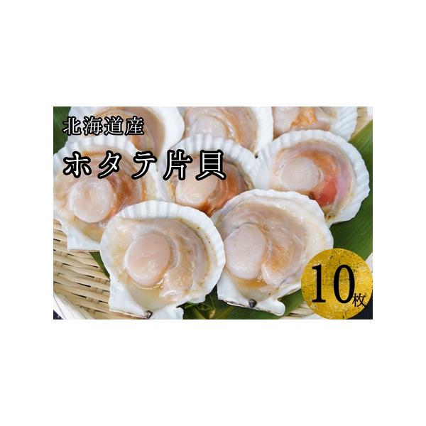 【ふるさと納税】【海鮮BBQにおすすめ】北海道産 ほたて片貝 10枚 ウロ処理済み 洗浄済み殻つき 下処理済 バター焼き ご飯 冷凍 旬 おつまみ 海鮮 せたな町