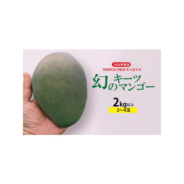 ■ 容量　キーツマンゴー　2kg以上（2〜4玉）　アレルギー：ウルシ科■ 配送について　2026年8月中旬〜9月中旬発送予定　　タイプ：【常温】