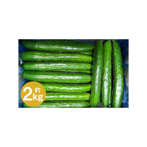 ■ 容量　【厳選品・Ａ品】　2kg×1箱（約20本前後入り）■ 配送について　2026年7月中旬から2026年9月下旬発送予定　タイプ：【常温】