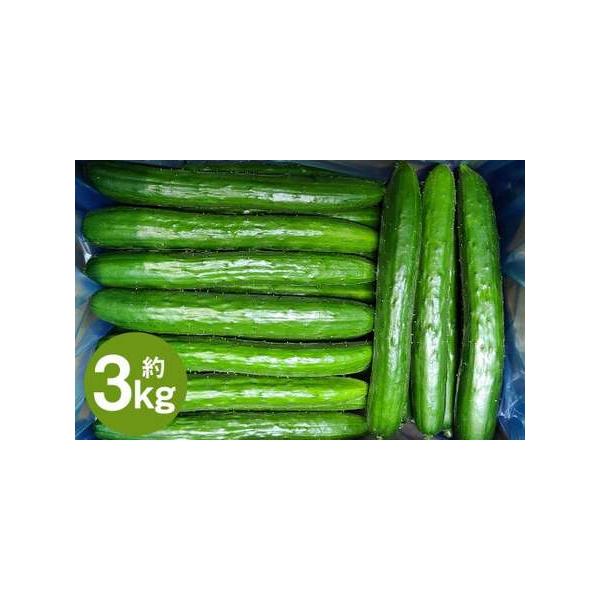 ■ 容量　【厳選品・Ａ品】　3kg×1箱（約30本前後入り）■ 配送について　2026年7月中旬から2026年9月下旬発送予定　タイプ：【常温】