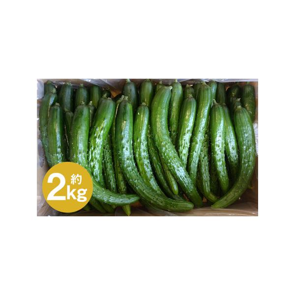 ■ 容量　【訳アリ・Ｂ品】　2kg×1箱（大きさにもよりますが、約20本前後となります）■ 配送について　2026年7月中旬から2026年9月下旬発送予定　タイプ：【常温】