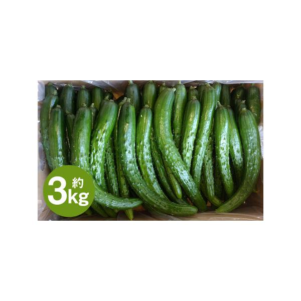 ■ 容量　【訳アリ・Ｂ品】　3kg×1箱（大きさにもよりますが、約30本前後となります）■ 配送について　2026年7月中旬から2026年9月下旬発送予定　タイプ：【常温】