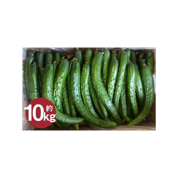 ■ 容量　【訳アリ・Ｂ品】　10kg（5kg×2箱）（大きさにもよりますが、約100本前後となります）■ 配送について　2026年7月中旬から2026年9月下旬発送予定　タイプ：【常温】