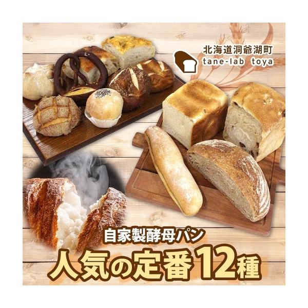ふるさと納税 パン詰合せ 自家製酵母 惣菜パン 菓子パン パン詰合せ【人気の定番Lサイズ】【冷凍】 北海道洞爺湖町