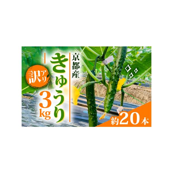 ■ 容量　3kg（約20本）■ 配送について　入金確認後、随時発送　タイプ：【常温】