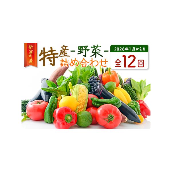 ■ 容量　7〜10種類の旬の野菜を毎月お届け【全12回】　　胡瓜、ピーマン、カラーピーマン、おくら、大根、キャベツ、白菜、白葱、とまと、ミニトマト、南瓜、人参、じゃがいも、玉ねぎ、里芋、さつまいも、とうもろこし、ズッキーニ、ゴーヤ、茄子、葉...