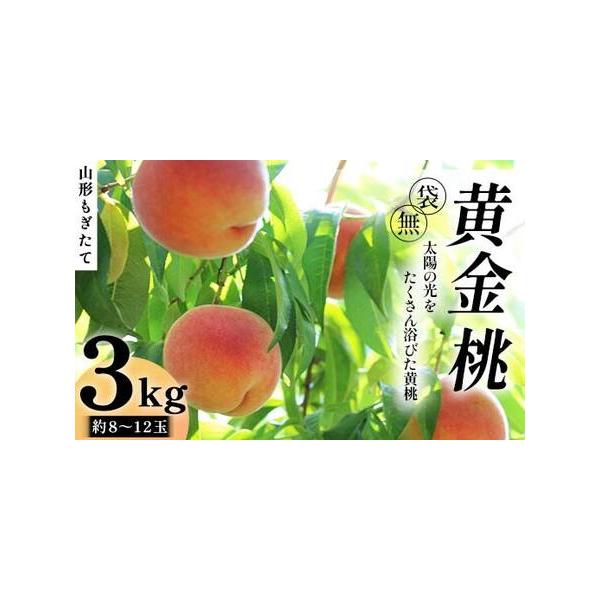 ■ 容量　山形県産もぎたて黄金桃（無袋）約3kg（8〜12玉前後）■ 配送について　2026年8月中旬〜9月下旬頃　タイプ：【常温】