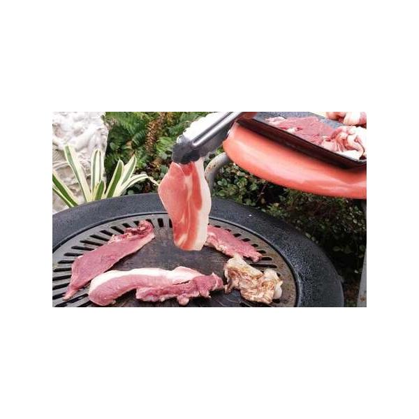 ■ 容量　・猪肉切り落とし 200g×3袋　（※主に細切れ肉、不足する時は200gスライス肉を発送します。）■ 配送について　寄附確認後、7営業日以内に発送予定　※天候や発送状況により多少前後する場合がございますので、予めご了承ください。　...