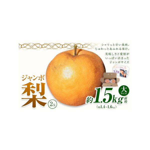 ■ 容量　荒尾ジャンボ梨（新高）2玉入り　約1.5kg前後(約1.4〜1.6kg)■ 配送について　2026年10月上旬-10月下旬頃出荷　タイプ：【冷蔵】
