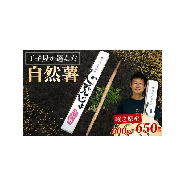 ■ 容量　自然薯600ｇ〜650ｇ■ 配送について　12月10日〜順次発送　タイプ：【常温】