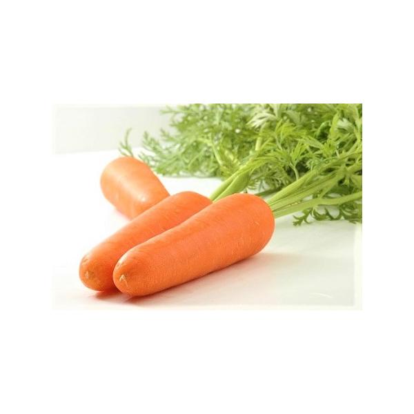 ■ 容量　Ｌサイズ10kg入り　約40本〜50本　　【消費期限】　生鮮野菜ですので、お早めにお召し上がりください。　【保存方法】冷蔵（１本ずつ新聞紙などに包んで冷蔵庫に保存で状態により１週間程度は大丈夫です）■ 配送について　2026年1月...