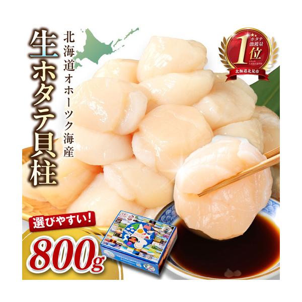 ふるさと納税 【2026年6月発送】北海道オホーツク海産 ホタテ貝柱 800g 生食用 ( 海鮮 魚介 魚介類 貝 貝類 帆立 ほたて お刺身 刺身 貝柱 海鮮.. 北海道北見市