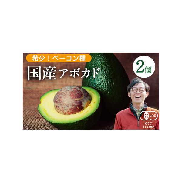 ■ 容量　国産オーガニックアボカド（ベーコン種）2個　※1個あたり200g程度　　[食べ頃]　ヘタのところが柔らかくなったら食べ頃です（到着して3〜4日後ぐらい）■ 配送について　11月下旬?12月発送予定　タイプ：【常温】【ギフト】
