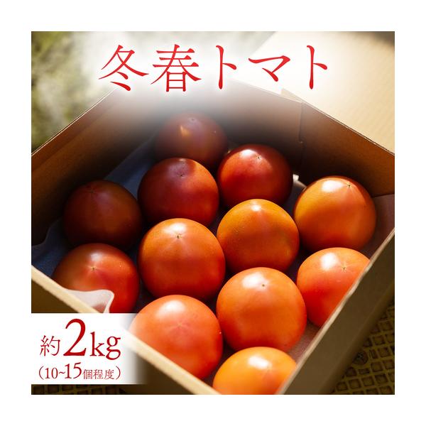 ふるさと納税 冬春トマト 完熟収穫 約2kg( 10〜15個 ) 西田農園 【2026
