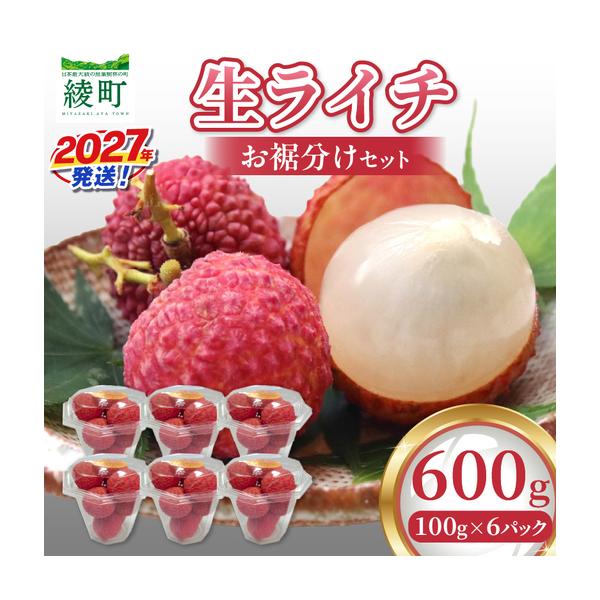 ふるさと納税 先行予約 数量限定 希少 綾生ライチ お裾分け セット 600g 果物 フルーツ くだもの 国産ライチ 2027年 トロピカルフルーツ 南国フル.. 宮崎県綾町