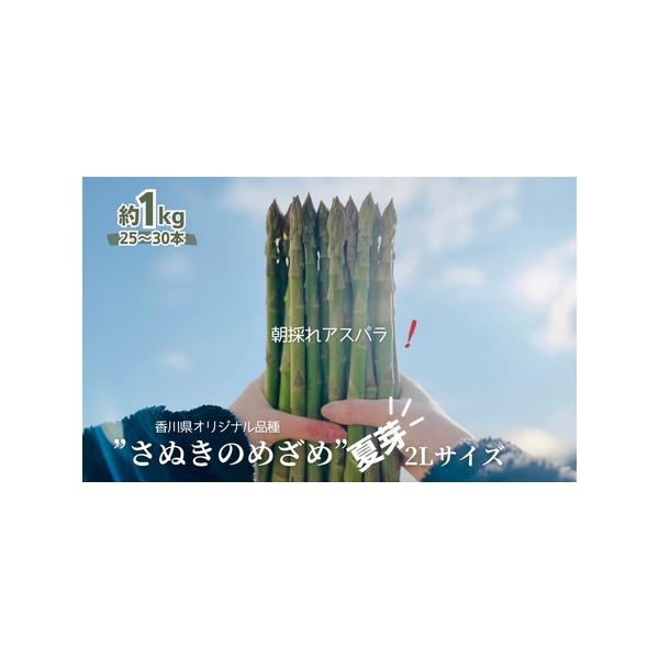 ■ 容量　アスパラガス【さぬきのめざめ/夏芽】2Lサイズ　約1kg　■ 配送について　2026年5月下旬〜9月下旬※ご寄附（ご入金）確認後、約2週間で順次配送いたします。　　タイプ：【冷蔵】