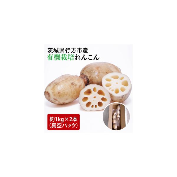 ■ 容量　【内容量】　有機栽培れんこん　約1kg×２本（真空パック）　■ 配送について　2025年9月中旬から〜2026年1月31日まで発送予定　※生産の都合により前後する場合がございます。予めご了承下さい。　2025年9月中旬からはご入金...