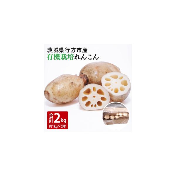 ■ 容量　【内容量】　有機栽培れんこん　約1kg×２本　■ 配送について　2025年9月中旬から〜2026年1月31日まで発送予定　※生産の都合により前後する場合がございます。予めご了承下さい。　2025年9月中旬からはご入金確認後、2週間...